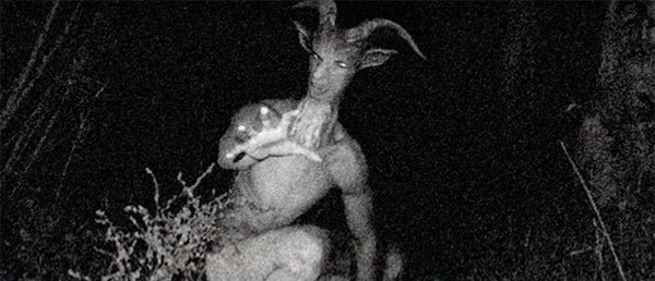 goatman3