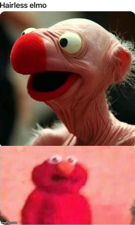 The best Elmo memes :) Memedroid