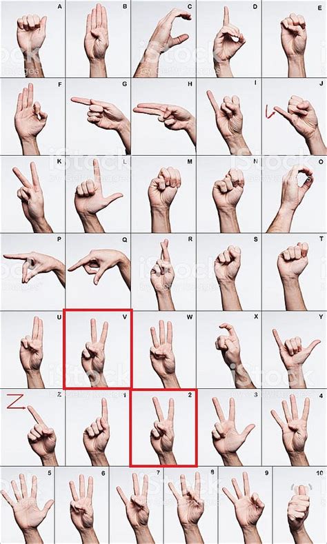 [Deep Learning] Hand gesture recognition | by Yacine BENAFFANE ...