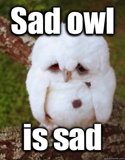 Sad owl is sad - Depressed Baby Owl - quickmeme