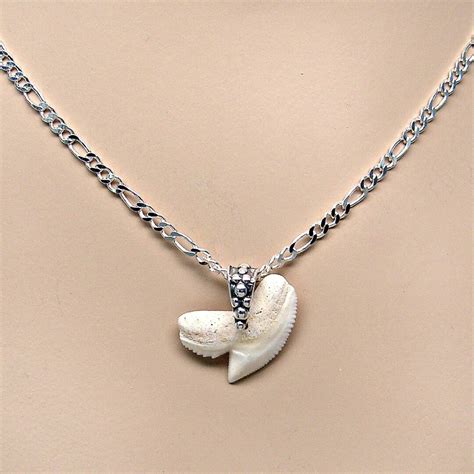 TIGER SHARK Tooth Necklace Sterling Silver Figaro 080 Chain 16, 18, 20 ...