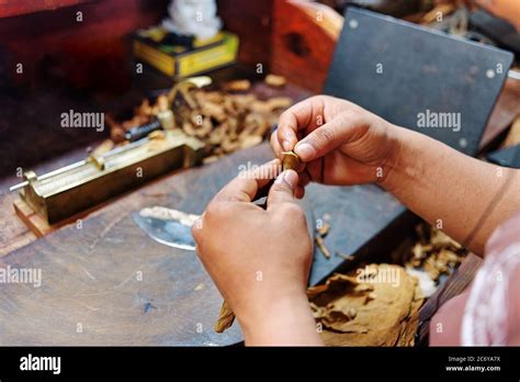 Hand rolling tobacco hi-res stock photography and images - Alamy