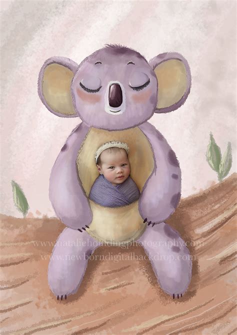 Newborn Koala Pictures