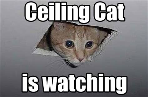 Ceiling Cat Meme - Cat Planet | Cat Planet