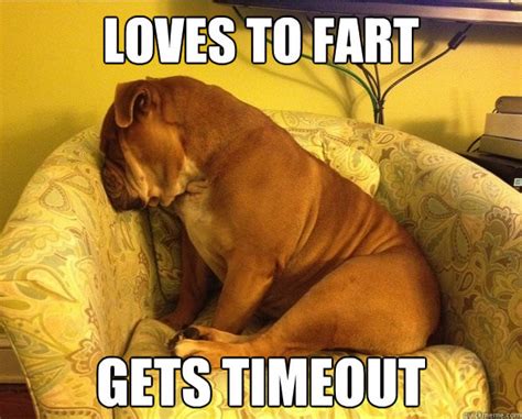 Dog Fart Quotes. QuotesGram