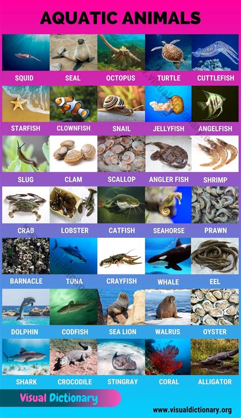 Aquatic Animals List A-z