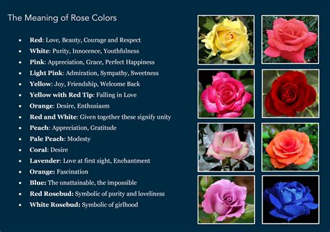 meaning of blue rose