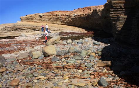 Point Loma Tide Pools, San Diego, CA - California Beaches