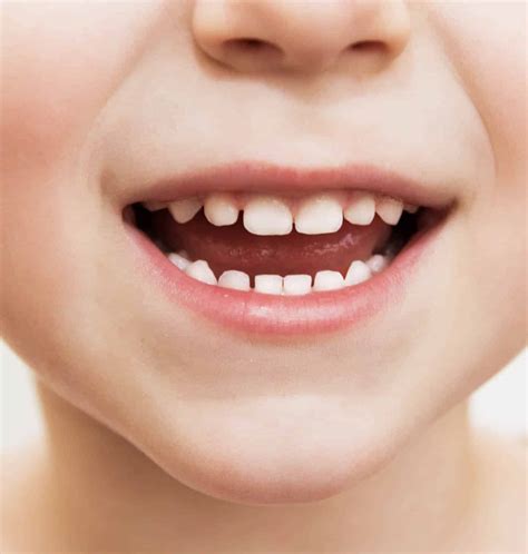 About Primary Teeth | Frisco Mini Molars | Frisco Pediatric Dentist