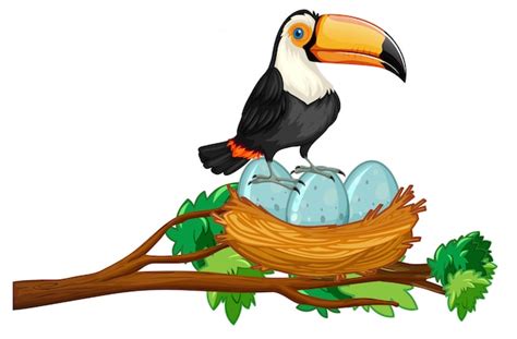 Free Vector | Toucan sitting on nest of eggs