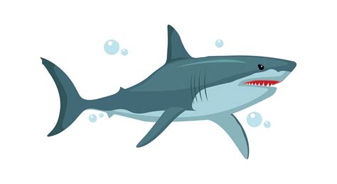 Shark Vector Art, Icons, and Graphics for Free Download