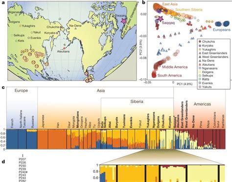 Dienekes’ Anthropology Blog: Paleo-Eskimo whole genome sequenced