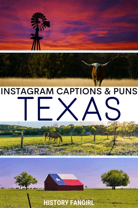 50 Nifty Texas Puns & Jokes for Texas Instagram Captions - History Fangirl