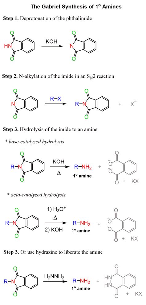 The Gabriel Synthesis - Chemistry Steps