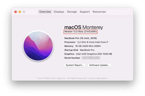 MacOS Monterey - Tech Review | Nektony