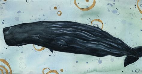 The Art of Michelle: Sperm Whale painting