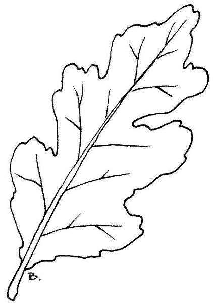 Free Coloring Page Of Daisy Leaves - RubenteSkinner