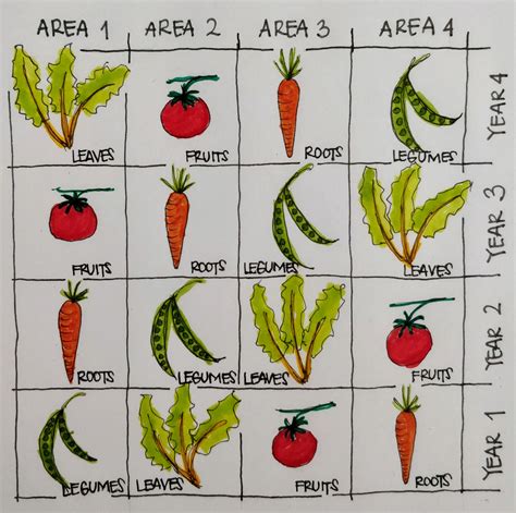 Printable Crop Rotation Chart - Printable Word Searches