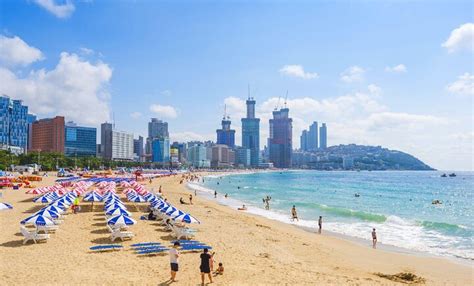 Top Beaches in Busan – Busan Trip Ideas | Viator.com