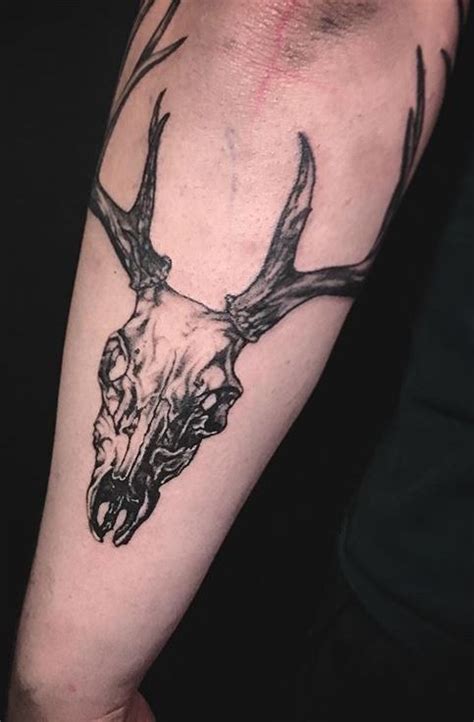 √ Whitetail Deer Skull Tattoo - Alumn Photograph