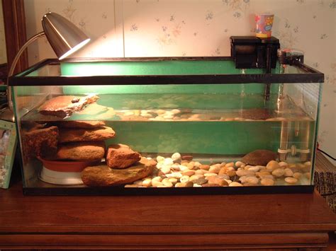 The_Turtle_Tank Aquatic Turtle Habitat, Aquatic Turtle Tank, Turtle ...