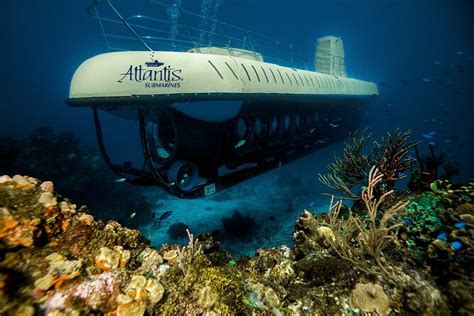 Cozumel Submarine Expedition: Triphobo