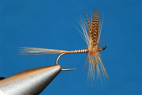 1000+ images about Flies for fly fishing on Pinterest | Fly tying, Fly ...