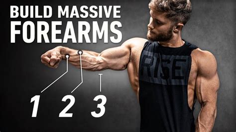 How To Build Huge Forearms: Optimal Training Explained (5 Best ...