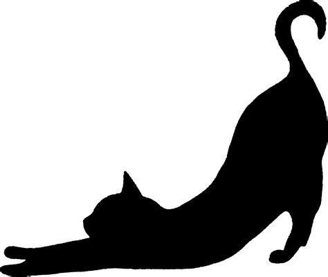 View Sleeping Black Cat Silhouette Images - CAT LOVER SHOP