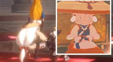 Young Impa spotted in Hyrule Warriors: Age of Calamity | The GoNintendo ...