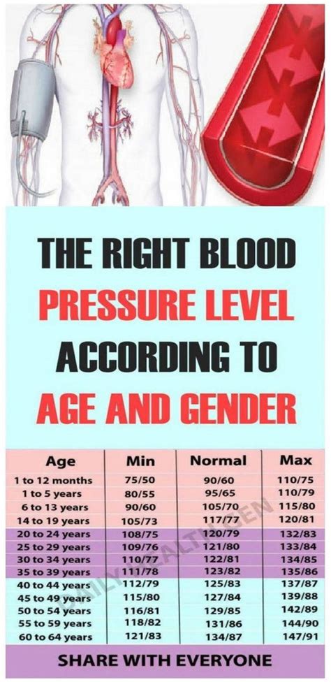 This Blood Pressure Chart Tells The Low, Normal, High Reading by Age ...