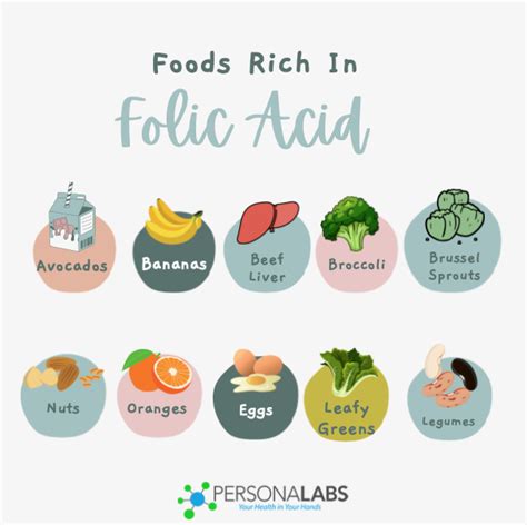 10 Natural Food Sources of Folate (Folic Acid) For Pregnant Women ...