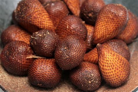 Buah Salak or Snake Fruit | CAMEMBERU