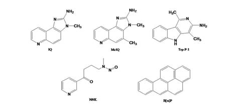 Chemical structures of aromatic amines. | Download Scientific Diagram