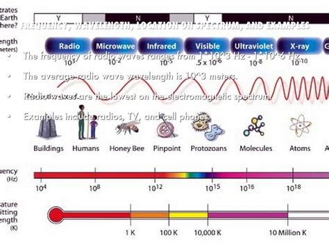 Radio Waves Wavelength