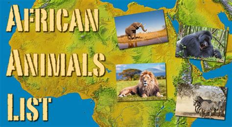 African Animals List With Pictures, Facts, Information & Worksheet