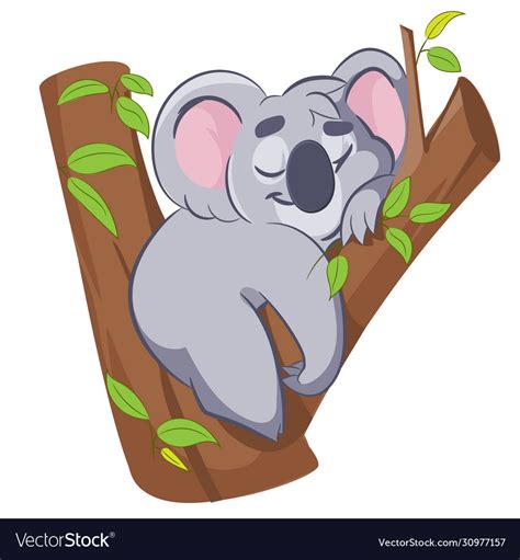 Koala Sleeping In Tree