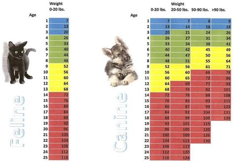 Cat Weight Chart by Age