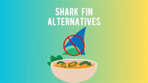 Sustainable and Ethical Shark Fin Alternatives - Shark Truth