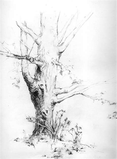 Sad tree... by pencil-evelyn on DeviantArt