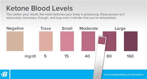 Urine Ketone Level Chart