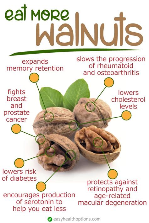 As 25 melhores ideias de Walnut benefits no Pinterest