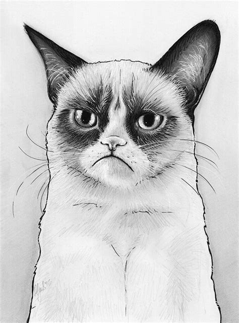 Angry Cat Drawing at PaintingValley.com | Explore collection of Angry ...