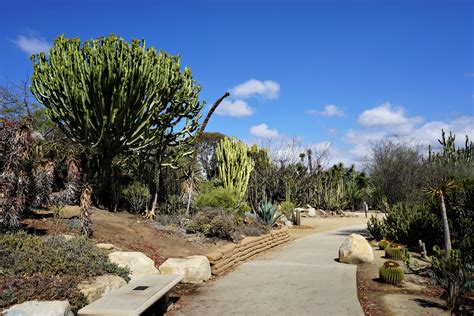 Explore Balboa Park Gardens & Museum; An Urban Oasis in San Diego