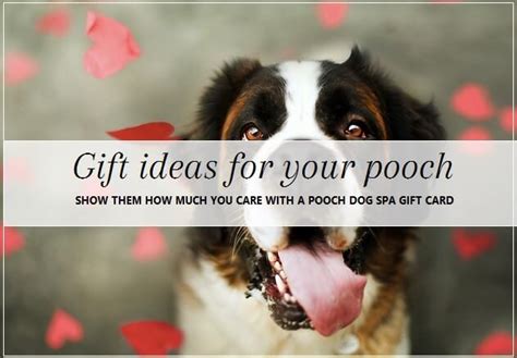 Doggie Gift Cards | Groomers & Nutritionist | Dog Pooch Spa