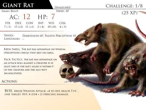 Rat, Giant by Almega-3 Dungeons And Dragons Homebrew, D&d Dungeons And ...