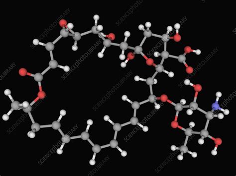 Natamycin molecule - Stock Image - F004/5888 - Science Photo Library