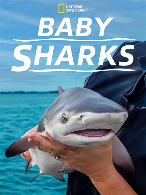 Baby Sharks (2022)