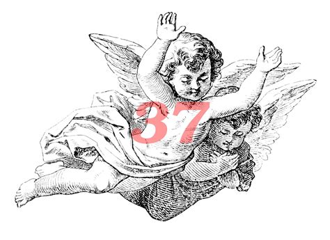 What Is The Spiritual Significance Of The 37 Angel Number? - TheReadingTub