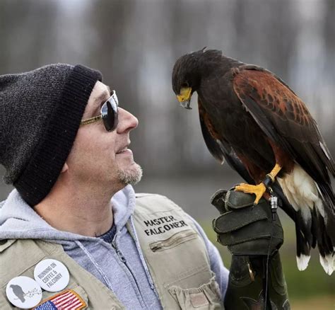 Falconry | Bucks County Audubon Society